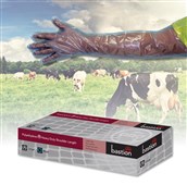 Bastion Polyethylene Extra Large Shoulder Length Blue Heavy Duty Gloves Bx100