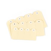 Avery Shipping Tags No 8 160x80mm Buff 1000 Box