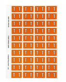 FEC Code Label 4025mm Letter T Orange Bx500